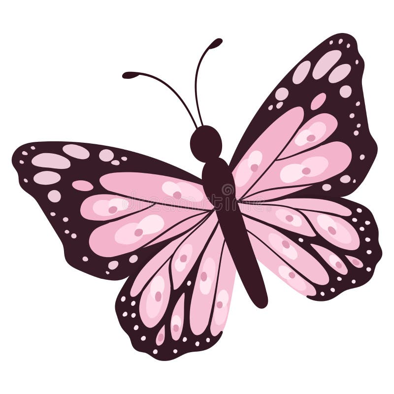 Beautifull Pink Cartoon Butterfly Vector Stock Vector - Illustration of  isolated, flutter: 217135319