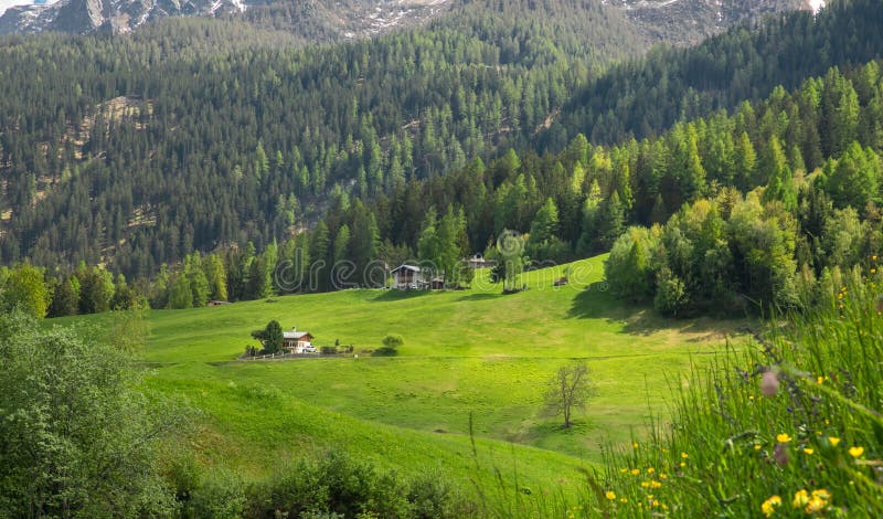 Beautifull view on the valley between mountains in Switzerland. Alp landscape. green alpine meadows blooming in spring