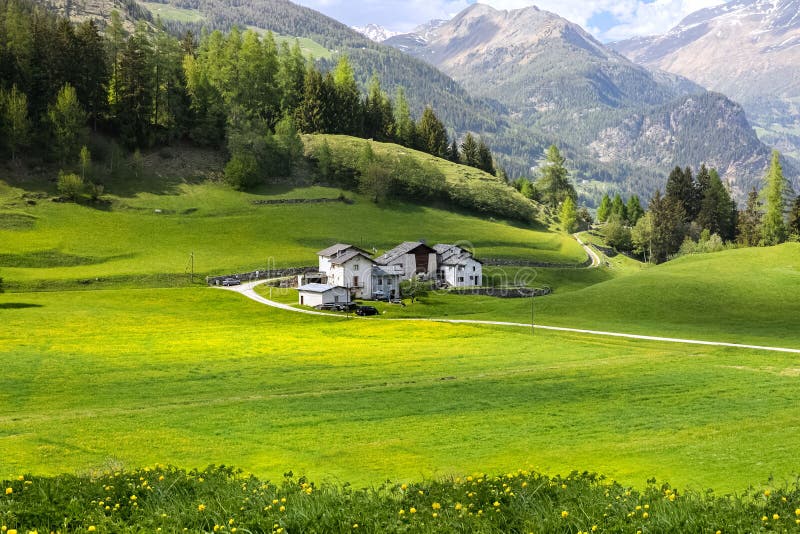 Beautifull view on the valley between mountains in Switzerland. Alp landscape. green alpine meadows blooming in spring