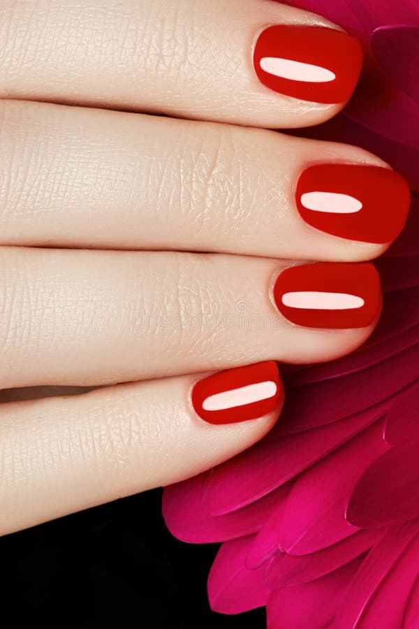 Beauty delicate hands with manicure holding pink flower close u stock photography Beauty delicate hands with manicure holding pink flower close u stock photography