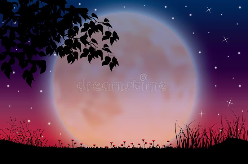 The Beauty of the Moon in Nature , Vector illustrations landscape