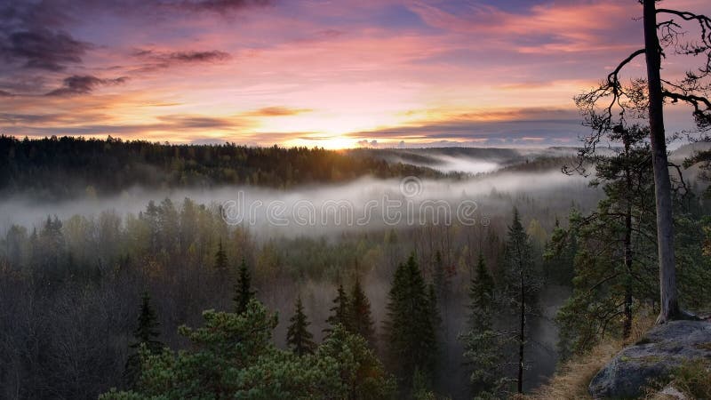 Beauty of Nature royalty free stock image Beauty of Nature royalty free stock image