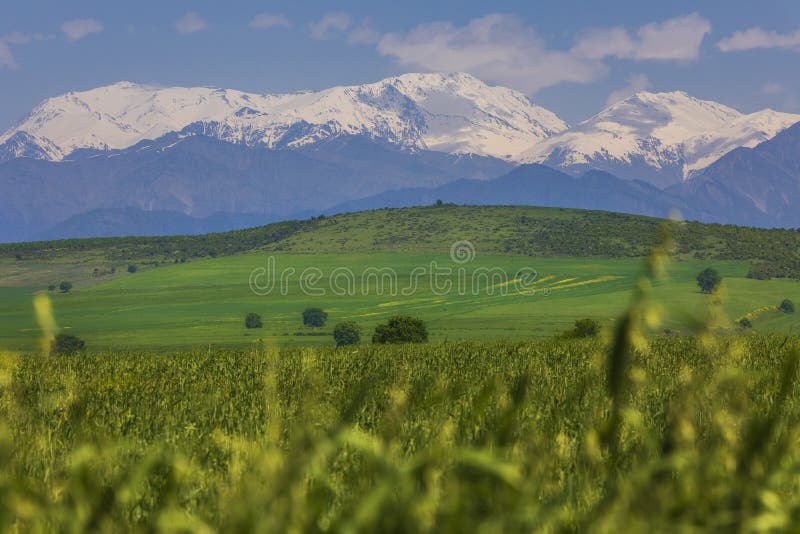 Snow Capped Mountains And Green Fields In Spring Stock Photo Image Of