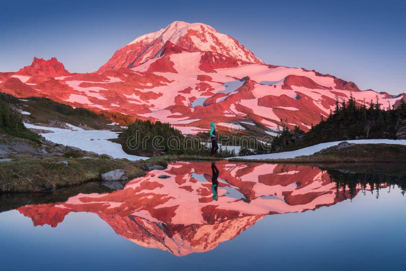 The beauty & tranquility of a summer evening at Mount Rainier National Park. Tall evergreen trees that line an alpine lake & blue sky are reflected on the calm water, Spray Park, Washington State, USA