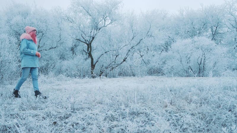 Beauté gelée nature branches arbres herbe dans neige gelée. silhouette fille en paysage belle forêt d'hiver. jeune banque de vidéos
