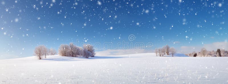 Beaux arbres dans le paysage d'hiver dans le début de la matinée image libre de droits Beaux arbres dans le paysage d'hiver dans le début de la matinée image libre de droits