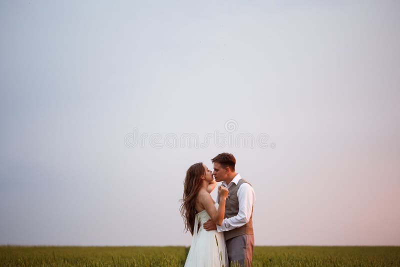 Beaux couples de mariage posant à la nature photos libres de droits Beaux couples de mariage posant à la nature photos libres de droits