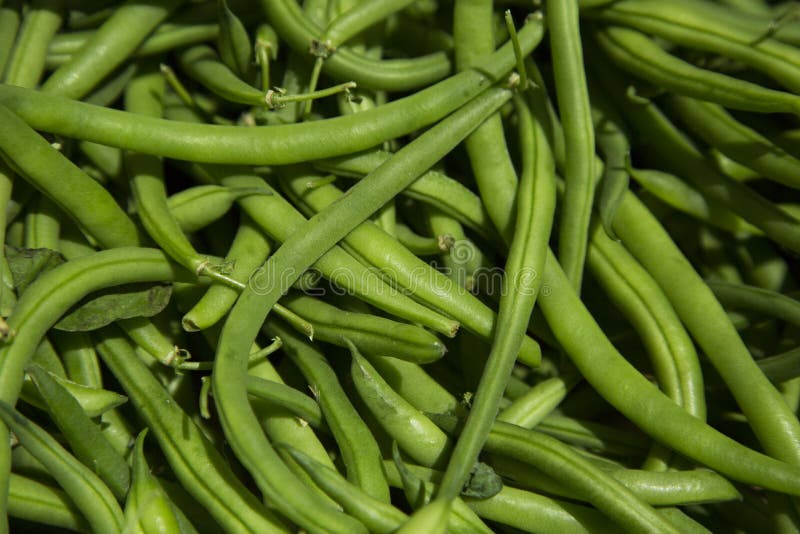 Beaux haricots verts organiques au marché d'agriculteurs