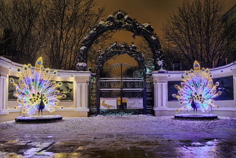 Beaux paons à l'entrée au zoo de Moscou sur l'anneau de jardin photos libres de droits Beaux paons à l'entrée au zoo de Moscou sur l'anneau de jardin photos libres de droits