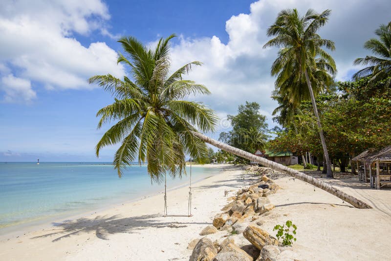 photo stock beaux plage palmier et eau de mer tropicaux en île koh phangan thaïlande image