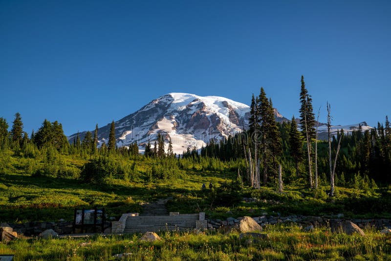 Beaux wildflowers et mont Rainier, l'état de Washington image stock Beaux wildflowers et mont Rainier, l'état de Washington image stock
