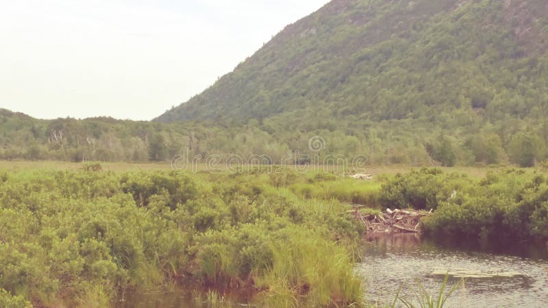 Acadia National Park stock photo. Image of distance - 122819560