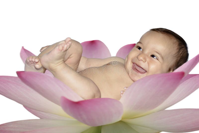 Bebe En Flor De Loto Imagen De Archivo Imagen De Abeja
