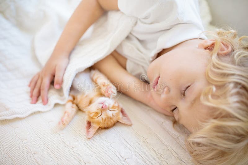 Garotinho Brincando Com Seu Gatinho Fofo No Parapeito De Uma Janela Em Uma  Sala De Berçário PNG , Sala De Jogos, Jogo Infantil, Casa De Brinquedo PNG  Imagem para download gratuito