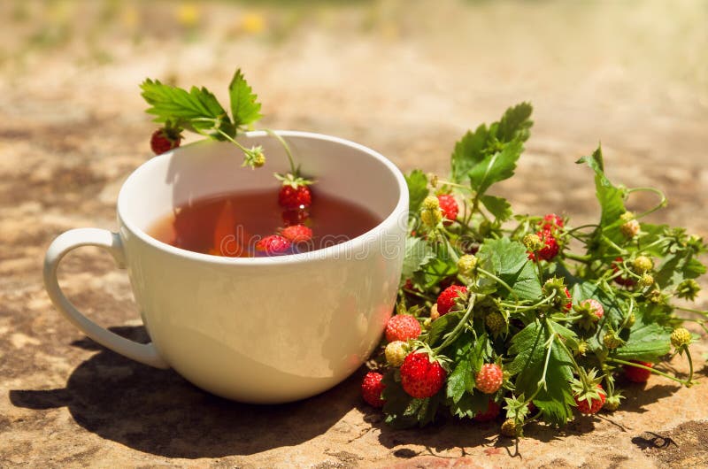 Bebida del té en la taza blanca con la baya salvaje salvaje de la fresa salvaje en el fondo de piedra amarillo, desayuno perfumad fotografía de archivo libre de regalías Bebida del té en la taza blanca con la baya salvaje salvaje de la fresa salvaje en el fondo de piedra amarillo, desayuno perfumad fotografía de archivo libre de regalías