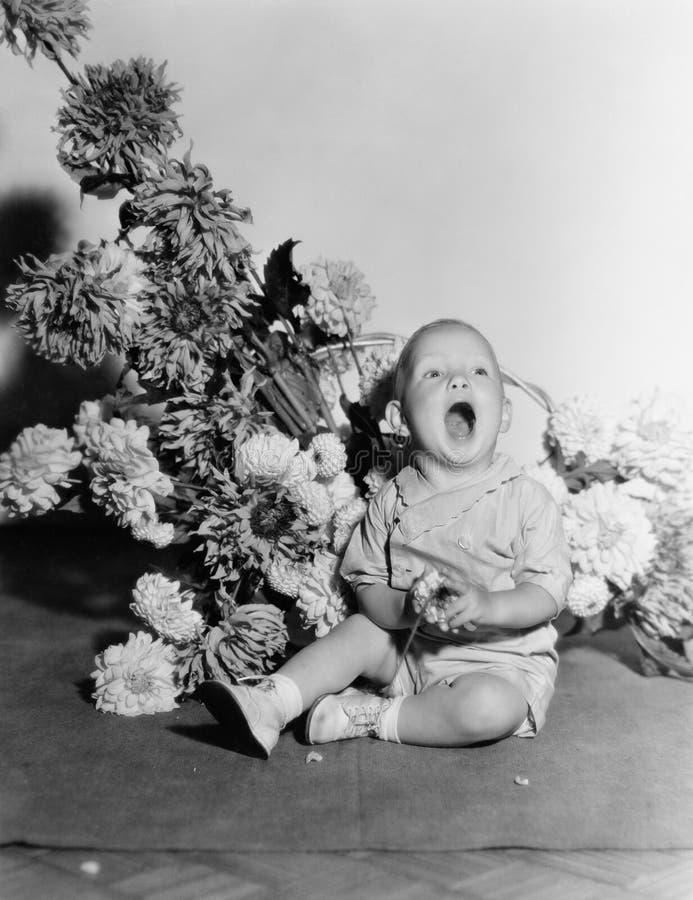 Baby with bouquet of flowers (All persons depicted are no longer living and no estate exists. Supplier grants that there will be no model release issues.). Baby with bouquet of flowers (All persons depicted are no longer living and no estate exists. Supplier grants that there will be no model release issues.)