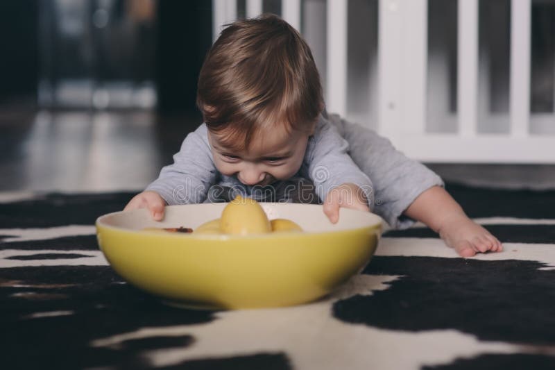 Bebé feliz lindo que come las galletas en casa y que juega con la placa de limones Captura interior de la forma de vida imagen de archivo libre de regalías Bebé feliz lindo que come las galletas en casa y que juega con la placa de limones Captura interior de la forma de vida imagen de archivo libre de regalías