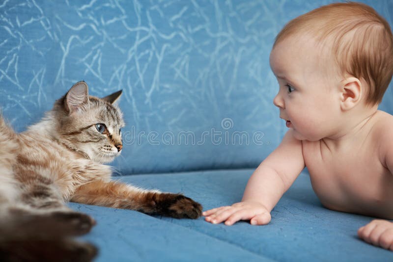 Bebé y gato imagen de archivo libre de regalías Bebé y gato imagen de archivo libre de regalías