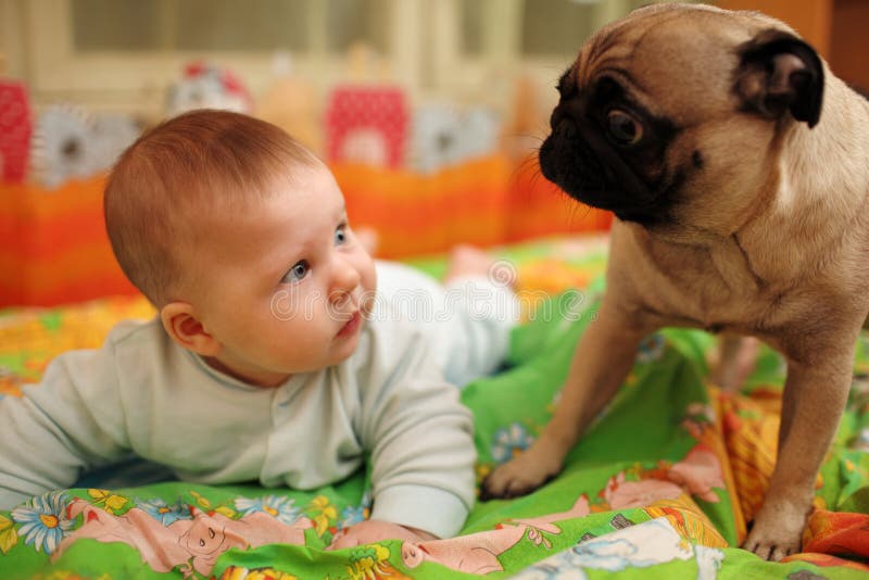Bebé y perro Bebé y perro