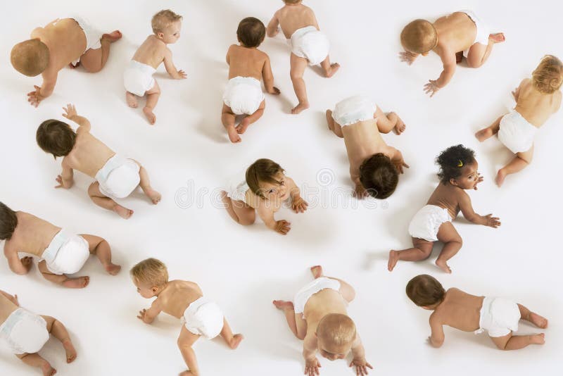 Bebés que se arrastran en el fondo blanco