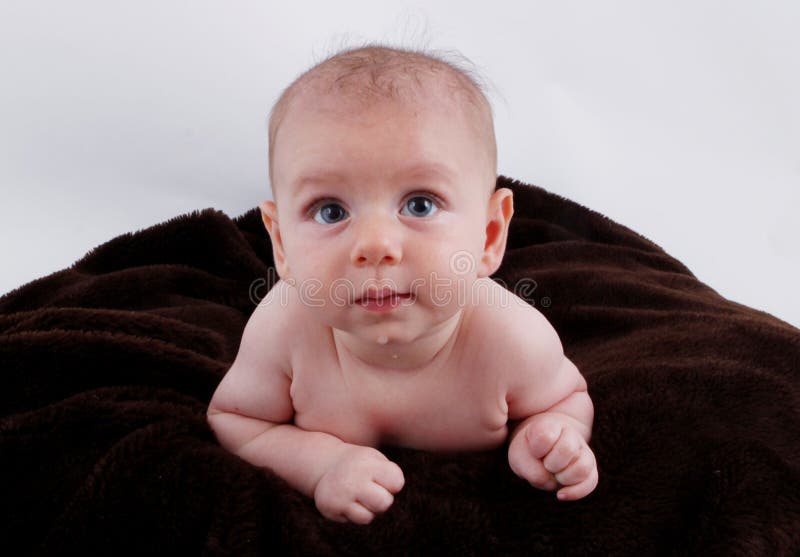 Bebé fofo e curioso a babar a aprender a gatinhar imagem de stock