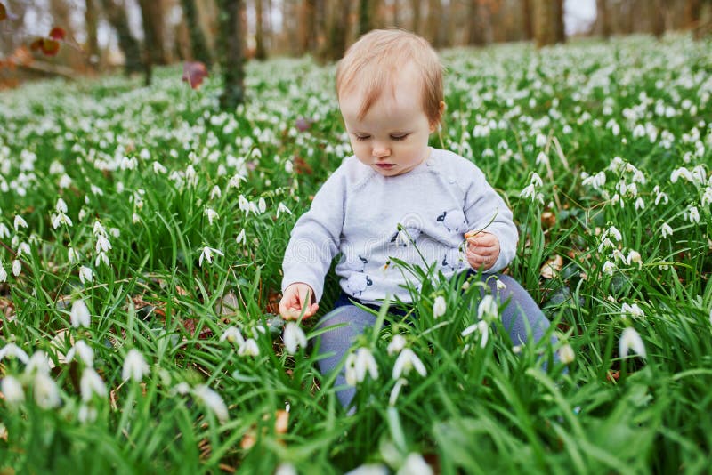 Bebê de um ano que senta-se na grama com muitas flores do snowdrop imagem de stock royalty free Bebê de um ano que senta-se na grama com muitas flores do snowdrop imagem de stock royalty free