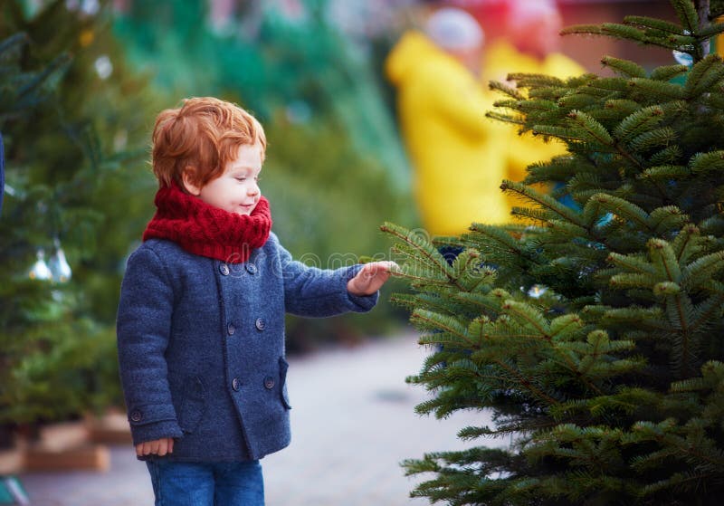 Bebê feliz bonito que escolhe a árvore de Natal por feriados de inverno no mercado sazonal