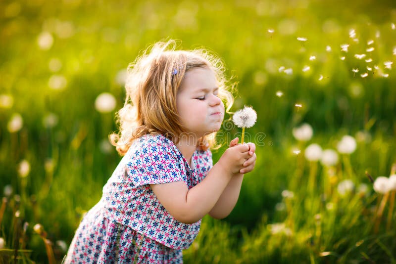 Bebê pequeno bonito adorável que funde em uma flor do dente-de-leão na natureza no verão r imagem de stock Bebê pequeno bonito adorável que funde em uma flor do dente-de-leão na natureza no verão r imagem de stock