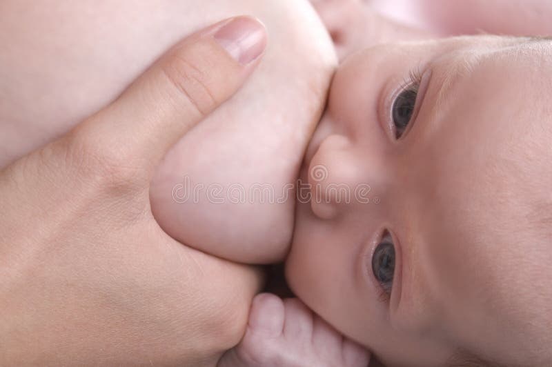 Bebê que alimenta do peito das matrizes
