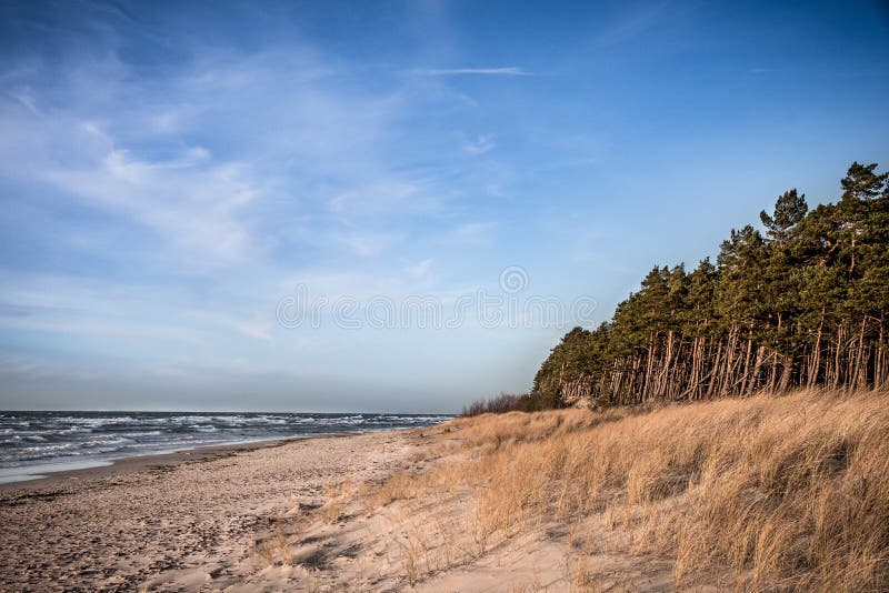 Bech Klaipeda стоковое изображение Bech Klaipeda стоковое изображение