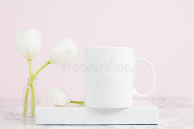 Bechermodell lizenzfreies stockbild Bechermodell lizenzfreies stockbild