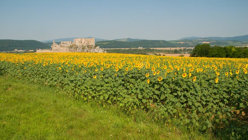 Beckov Castle