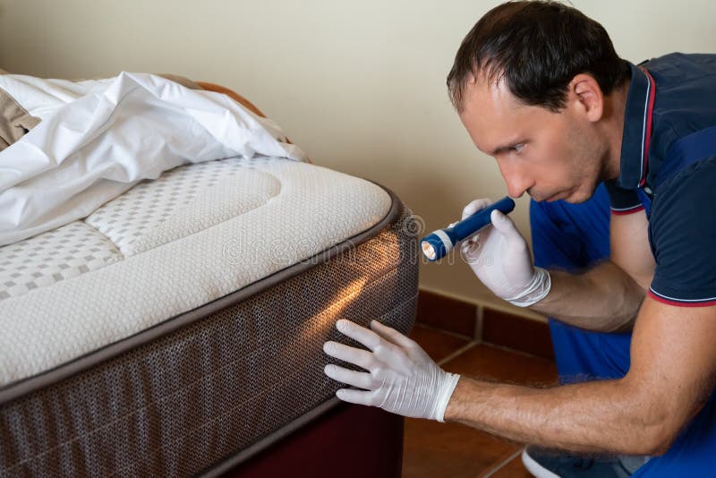 Bed Bug Exterminator Blue Point, NY | Bed Bug Removal | Get Rid of Bed Bugs - Treatment For Bed Bug Infestation In Mattress