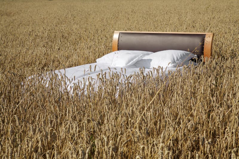 Bed in a Grain Field- Concept of Good Sleep Stock Photo - Image of ...