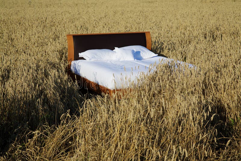 Bed in a Grain Field- Concept of Good Sleep Stock Image - Image of ...