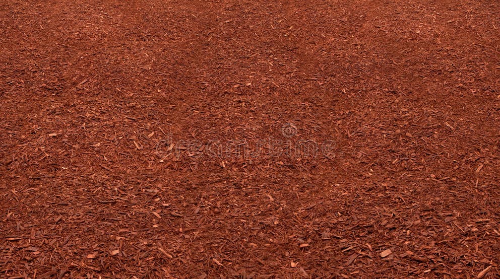 4,264 Mulch Bed Stock Photos Free & RoyaltyFree Stock Photos from Dreamstime