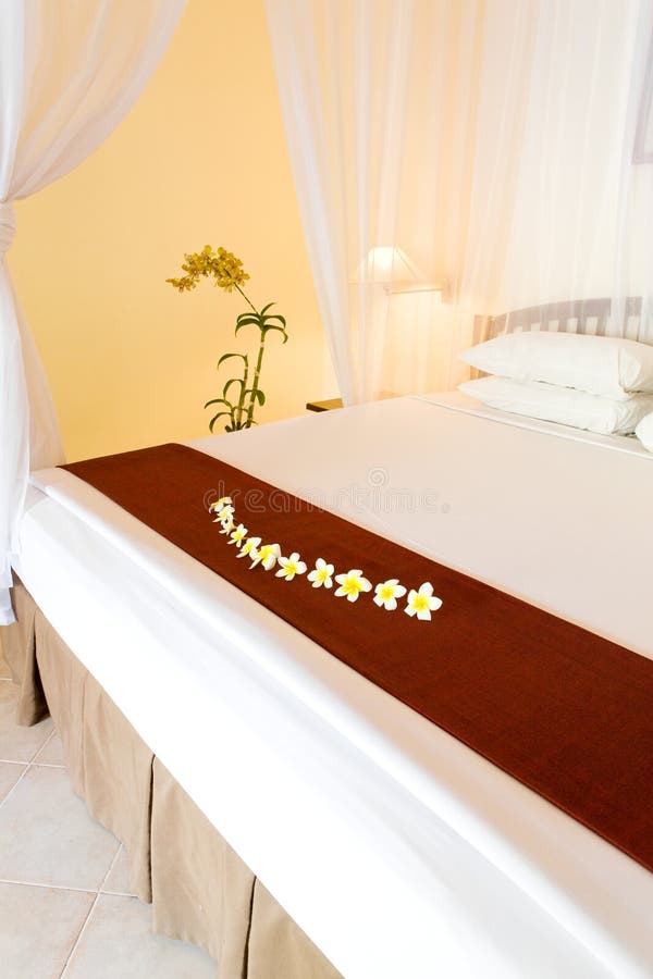 820 Under Curtains Stock Photos Free & RoyaltyFree Stock Photos from