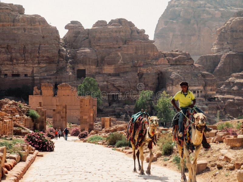 Luminans sort Stor eg A Bedouin Guide in Petra editorial stock photo. Image of valley - 70638478
