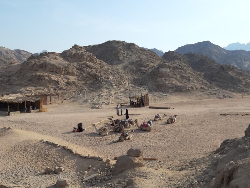 Bedouin village egypt imagen de archivo. Imagen de terreno 260277829