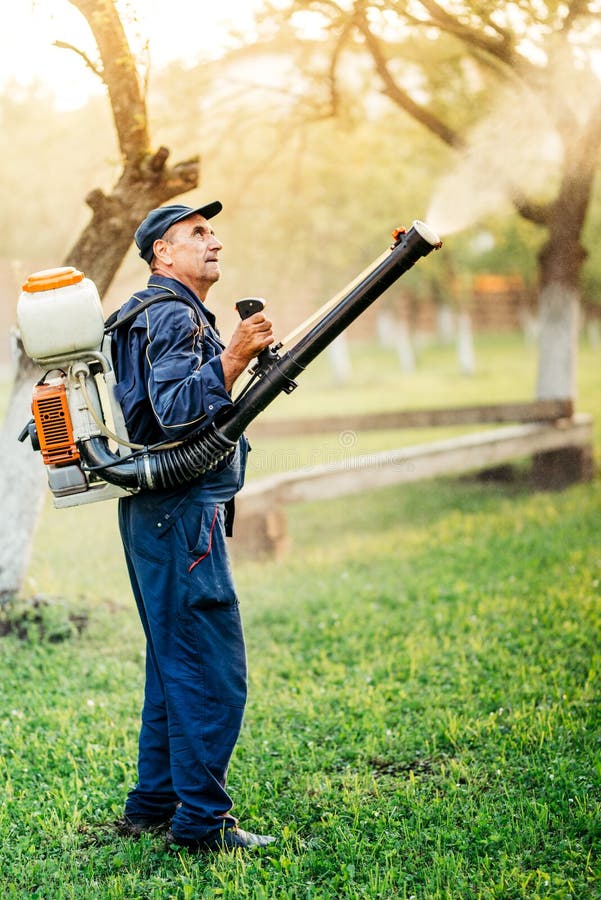 bedrijfsmedewerker tuinierend en bespuitend pesticide royalty-vrije stock afbeeldingen bedrijfsmedewerker tuinierend en bespuitend pesticide royalty-vrije stock afbeeldingen