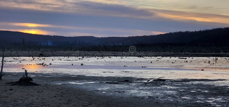 Bedövningssäsong vid solnedgång arkivfoto