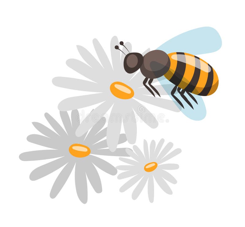 Bee Cartoon Style Vector Illustrations Stock Vector - Illustration of ...