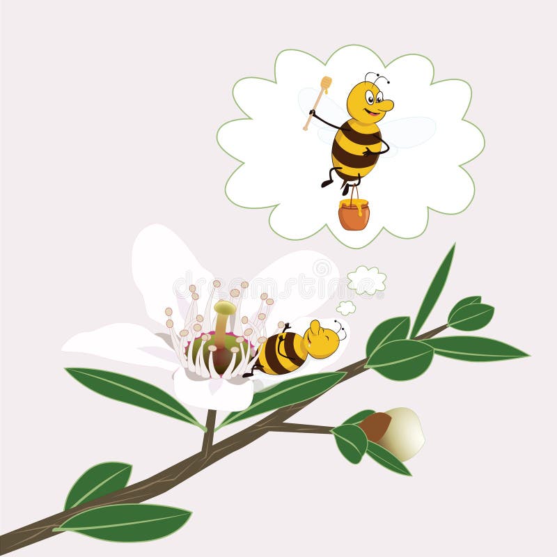 Bee is Dreaming on a Manuka Flower Stock Vector - Illustration of nice, dream: 64555188 Bee is Dreaming on a Manuka Flower Stock Vector - Illustration of nice, dream: 64555188