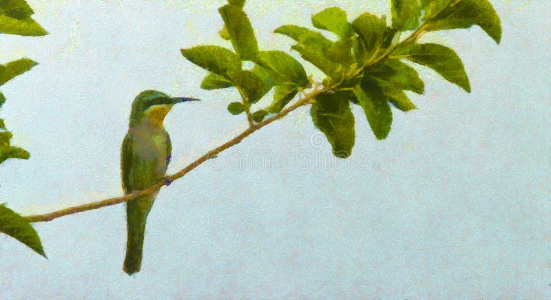 The Bee Eater, A Bee Eater on an early spring day, Spring bird. Oil painting style, A Bird illustration on canvas with green color vector illustration The Bee Eater, A Bee Eater on an early spring day, Spring bird. Oil painting style, A Bird illustration on canvas with green color vector illustration