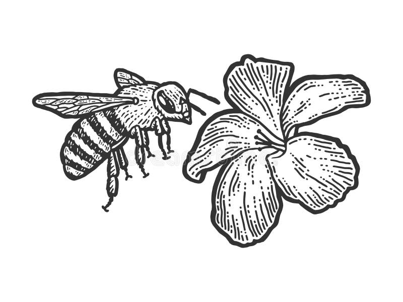 A bee flies to a flower. Scratch board imitation. Black and white hand drawn image. Engraving raster illustration