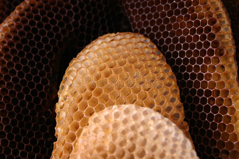 Bee hive royalty free stock photos
