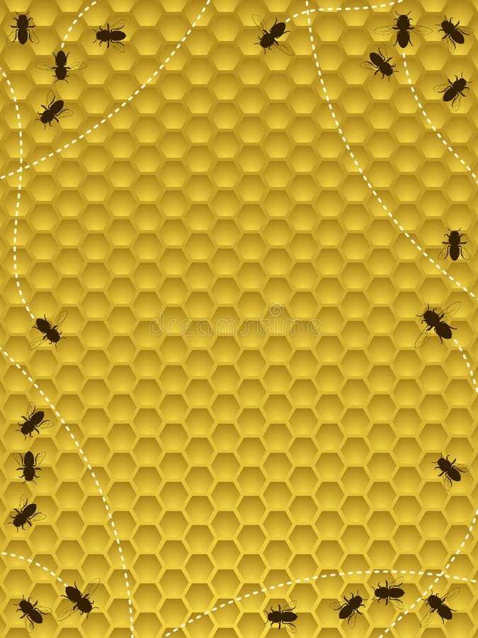 Bee hive border