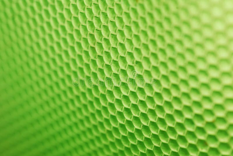 Bee hive in green