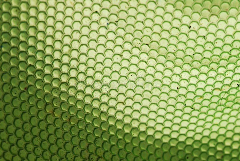 Bee hive in green