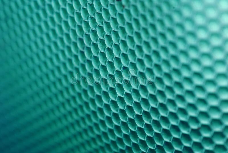 Bee hive in green